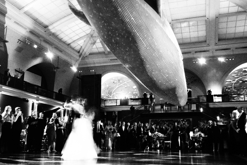 Illustration for article titled A WEDDING : UNDER A WHALE